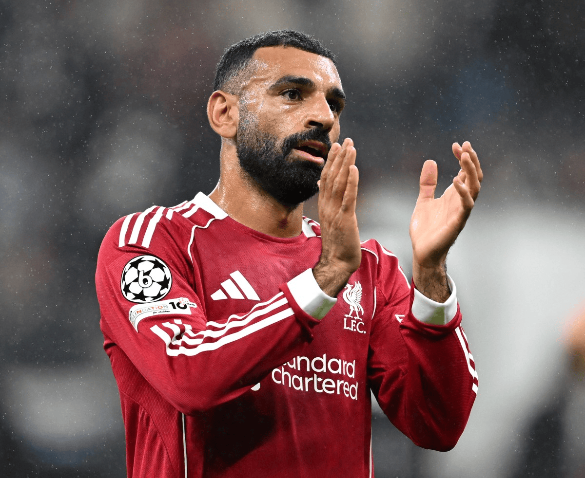 久没见过正, cn, 谈到了他对